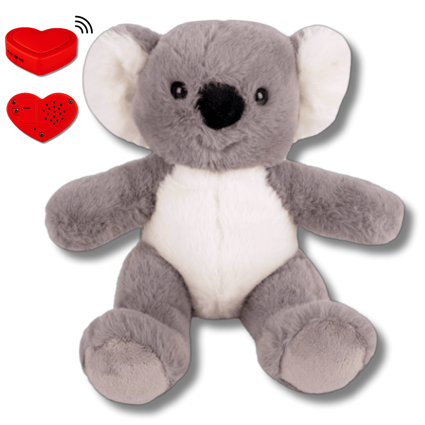 Knuffel Koala met Stemopname – Gepersonaliseerde Knuffel