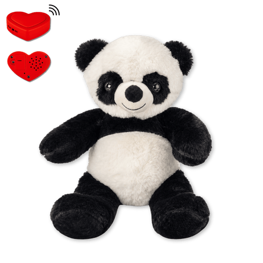 Plüsch-Panda mit Sprachaufnahme – Personalisiertes Kuscheltier